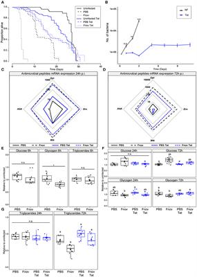 Origins of Metabolic Pathology in Francisella-Infected Drosophila